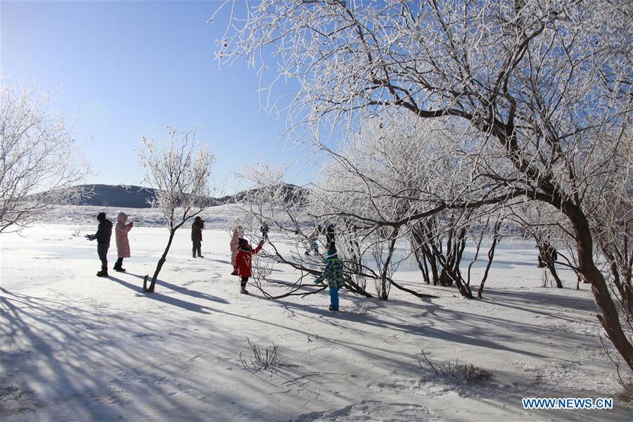 Tourists take photos of frost scenery in Hexigten Banner, north China\'s Inner Mongolia Autonomous Region, Jan. 2, 2019. (Xinhua/Liu Mancang)
