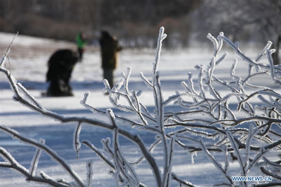 Tourists take photos of frost scenery in Hexigten Banner, north China\'s Inner Mongolia Autonomous Region, Jan. 2, 2019. (Xinhua/Liu Mancang)